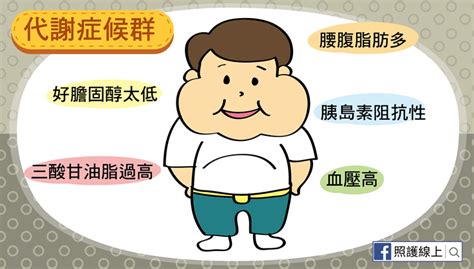 中廣身材|三高又中廣身材 – 代謝症候群（懶人包）